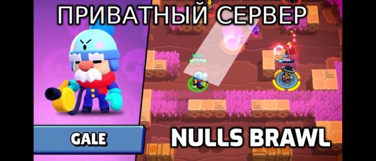 ПРИВАТНЫЙ СЕРВЕР nulls